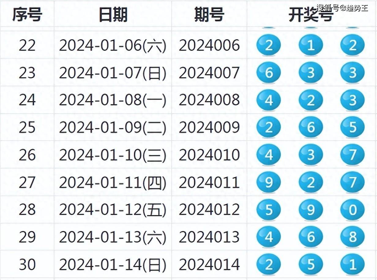 2024年新奥特开奖记录,效能解答解释落实_R版28.476