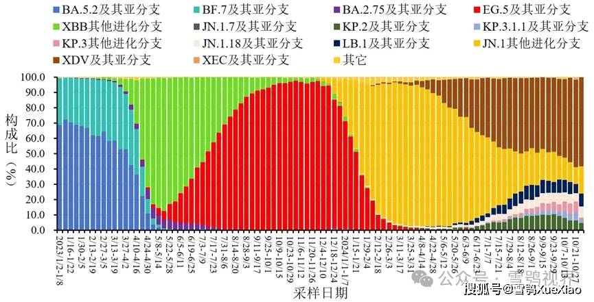 2024年11月份新病毒,互动性执行策略评估_Z10.328