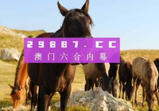 澳门管家婆一肖一码一中一,现状解答解释定义_体验版82.773