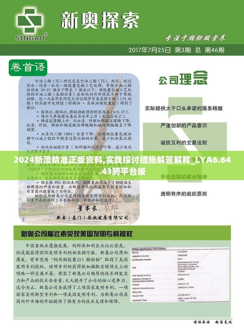 2024新澳最精准资料,快速方案执行指南_C版48.605