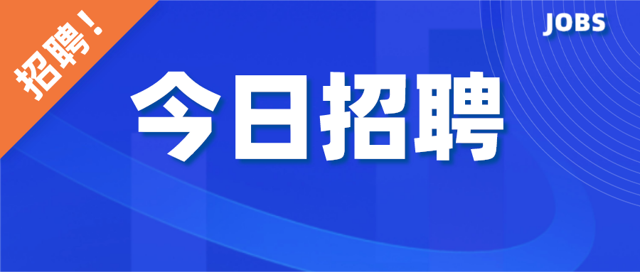 2024年12月5日 第8页