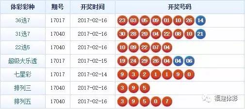 2024年12月8日 第17页