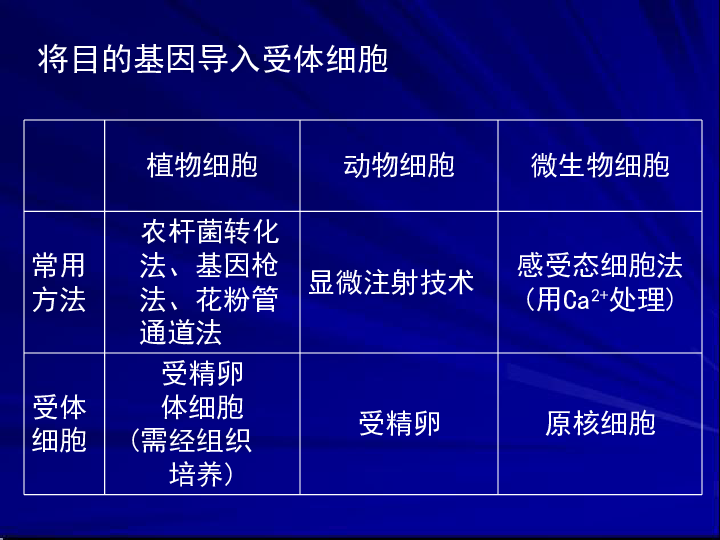 2024新奥正版资料大全,科技成语分析落实_Deluxe15.345