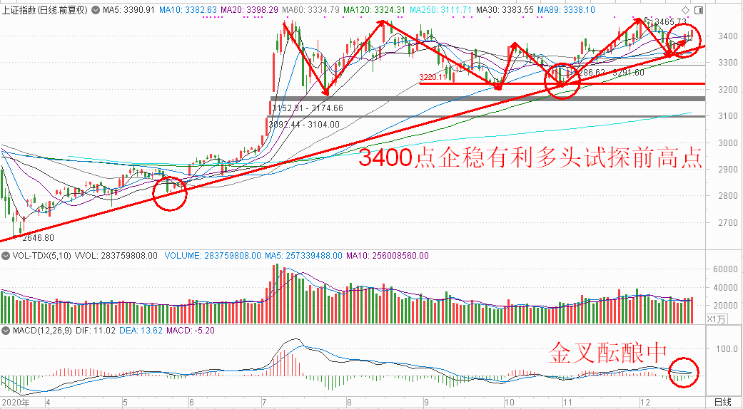 2024新澳门今晚开特马直播,实地数据评估策略_投资版74.158