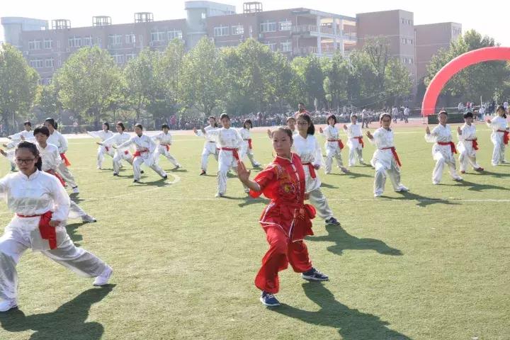 中央一十五台在线直播，新时代的传媒力量展现