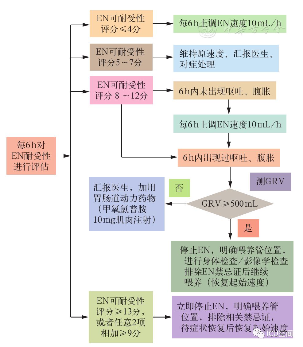 2024年12月17日 第55页