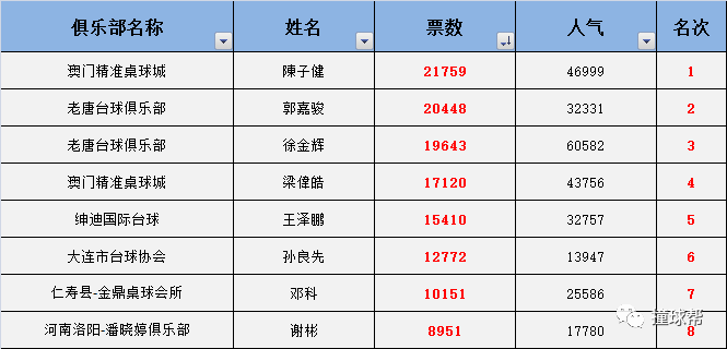 澳门一肖—码精准100王中王,专家意见解释定义_WP52.723