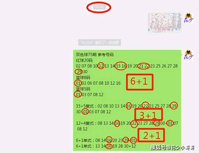 白小姐今晚特马期期准六,可靠解析评估_精装版77.531