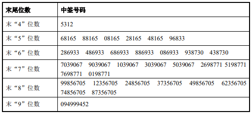 2024年12月19日 第43页