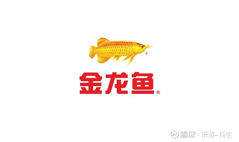 金龙鱼最新招聘信息揭示企业拓展战略动向