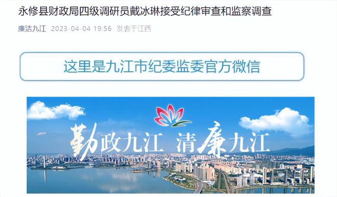 南充反腐最新动态，持续推进反腐倡廉建设，深化政治生态净化