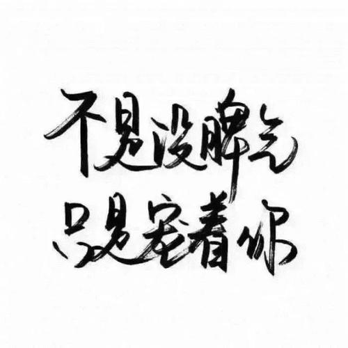 微信头像新潮流，文字元素与个性时尚的结合