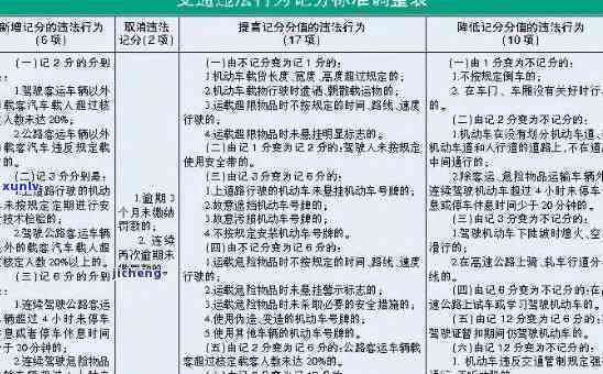 最新交通处罚规定及其影响分析